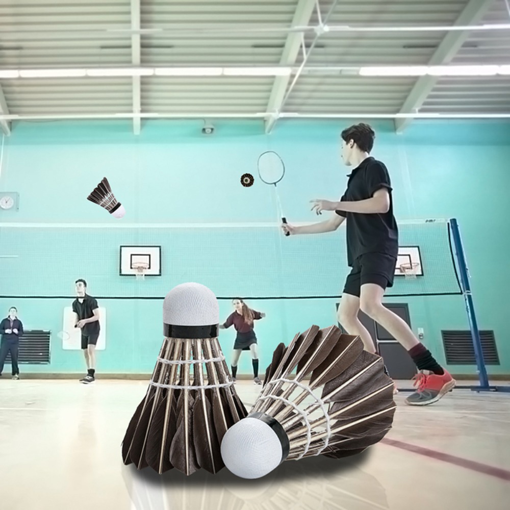 3/6/12Pcs Household Sport Trai - огляд і ціна Feather Shuttlecock