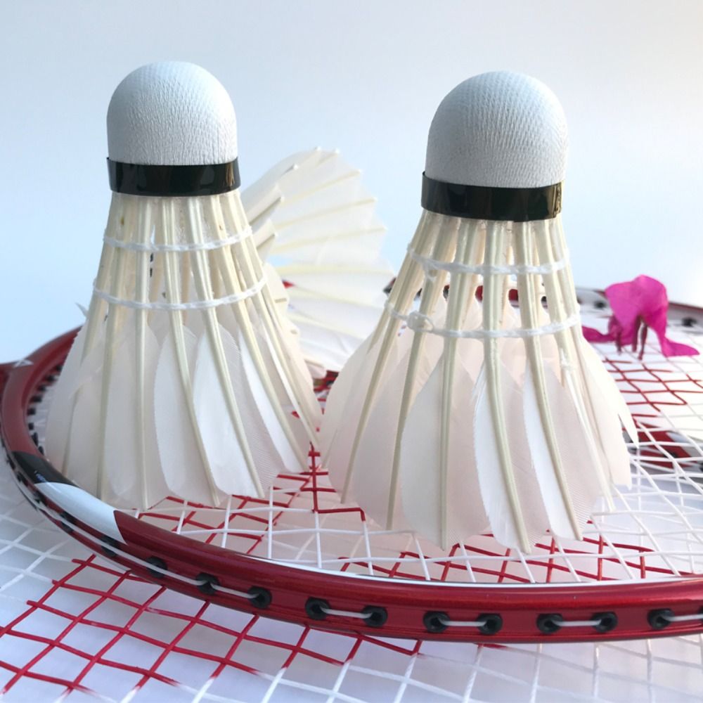 3/6/12Pcs Professional Badmint - огляд і ціна Badminton Shuttlecock